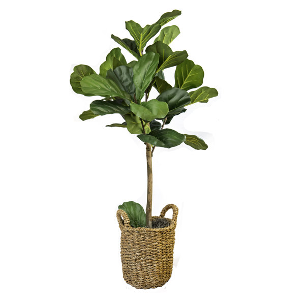Joss & Main 30" Artificial Fiddle Leaf Fig Tree in Basket & Reviews